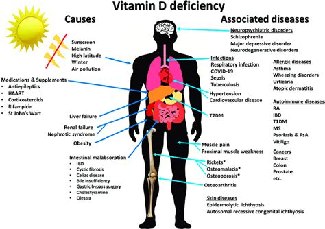 best vitamin d drops tested|best vitamin d deficiency treatment.